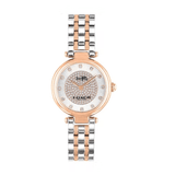 Coach Park Silver Dial Two Tone Steel Strap Watch for Women - 14503642