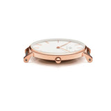 Daniel Wellington Classic Petite Cornwall White Dial Green NATO Strap Watch For Women - DW00100253