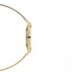 Daniel Wellington Classic Petite Evergold Black Dial Gold Mesh Bracelet Watch For Women - DW00100349