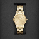 Daniel Wellington Iconic Link Unitone Gold Dial Gold Steel Strap Watch For Women - DW00100403