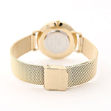 Daniel Wellington Petite Evergold Black Dial Gold Mesh Strap Watch For Women - DW00100345
