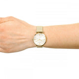 Emporio Armani Retro Gold Dial Gold Mesh Bracelet Watch For Women - AR1957