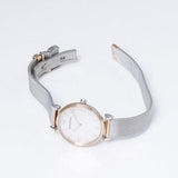 Emporio Armani Retro Mother of Pearl Dial Silver Mesh Bracelet Watch For Women - AR2067